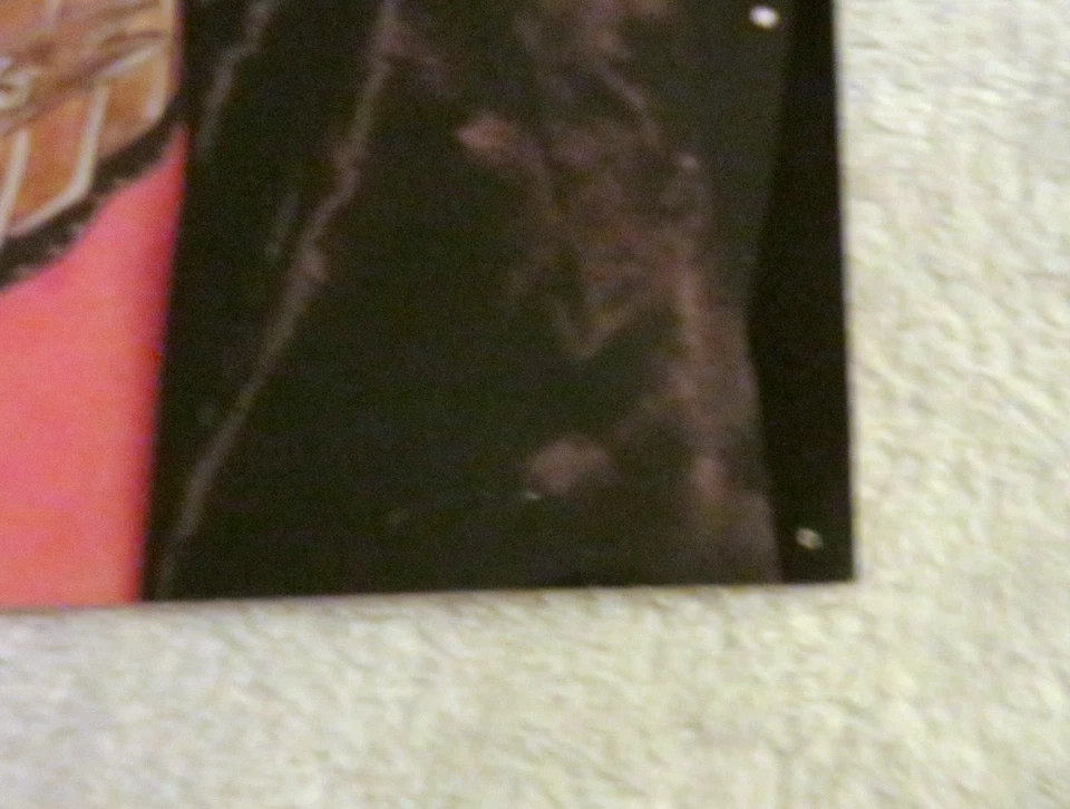 Póster pinup de lucha libre RAVISHING RICK RUDE de colección excelente estado WCW WWF Foto 4 de 4