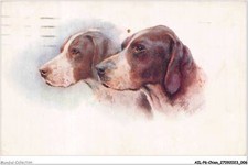 AILP6-0514 - DOG - Hunting Dog Heads Pointers