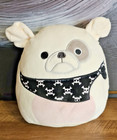 Squishmallows Elanor Bulldog 8" Inch Skull Crossbones Plush Pirate Dog