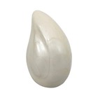 Afbeelding 3 van 25