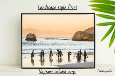 PINGUIN A4 DRUCK POSTER BILD WANDBILD WOHNDEKO UNGERAHMT NEU GESCHENK 