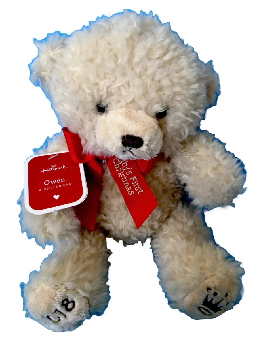 Christmas teddy best sale bears 2018