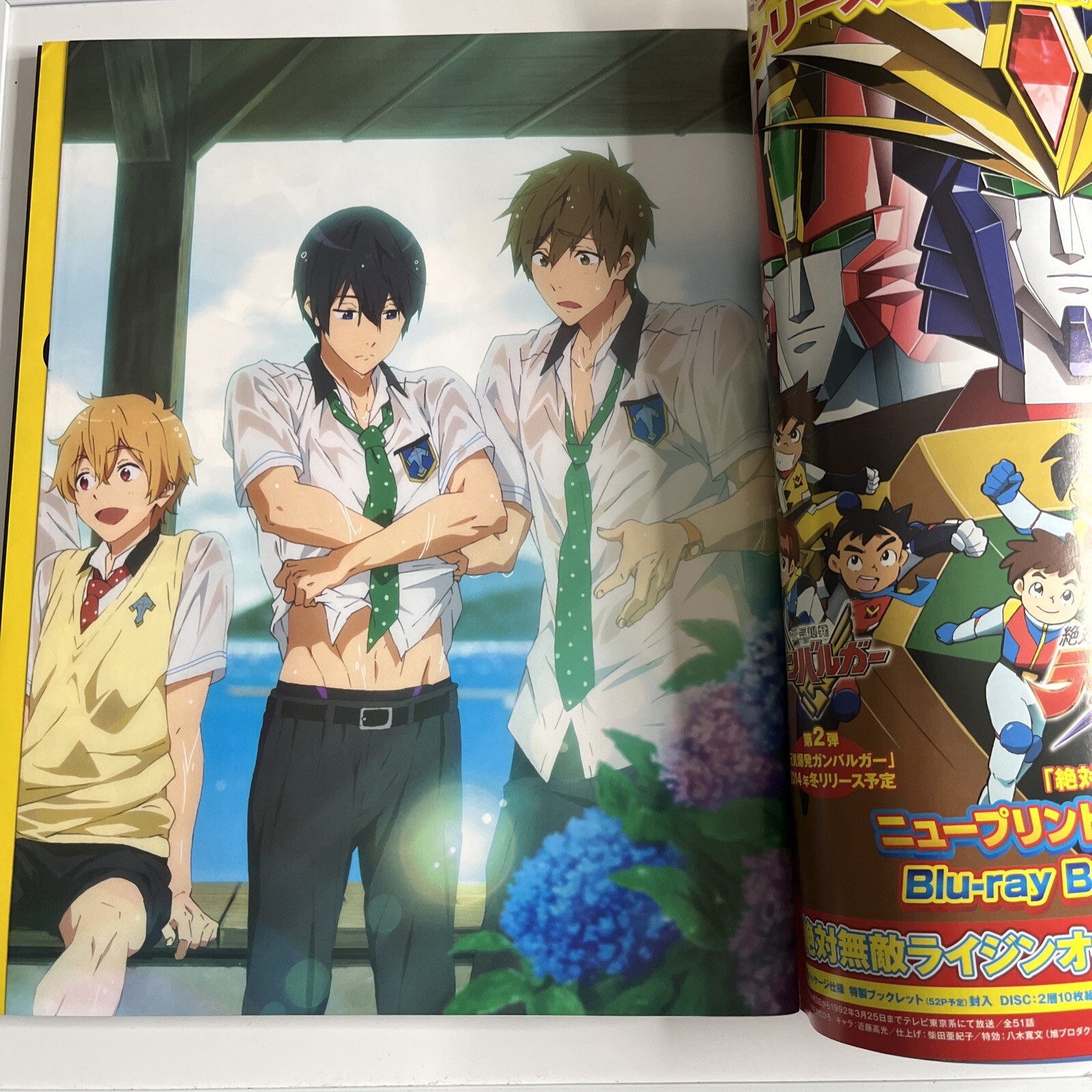 Newtype Magazine June 2014 Chaika The Coffin Princess Japanese Anime Manga