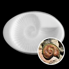 Ammonite Silicone Mold AU
