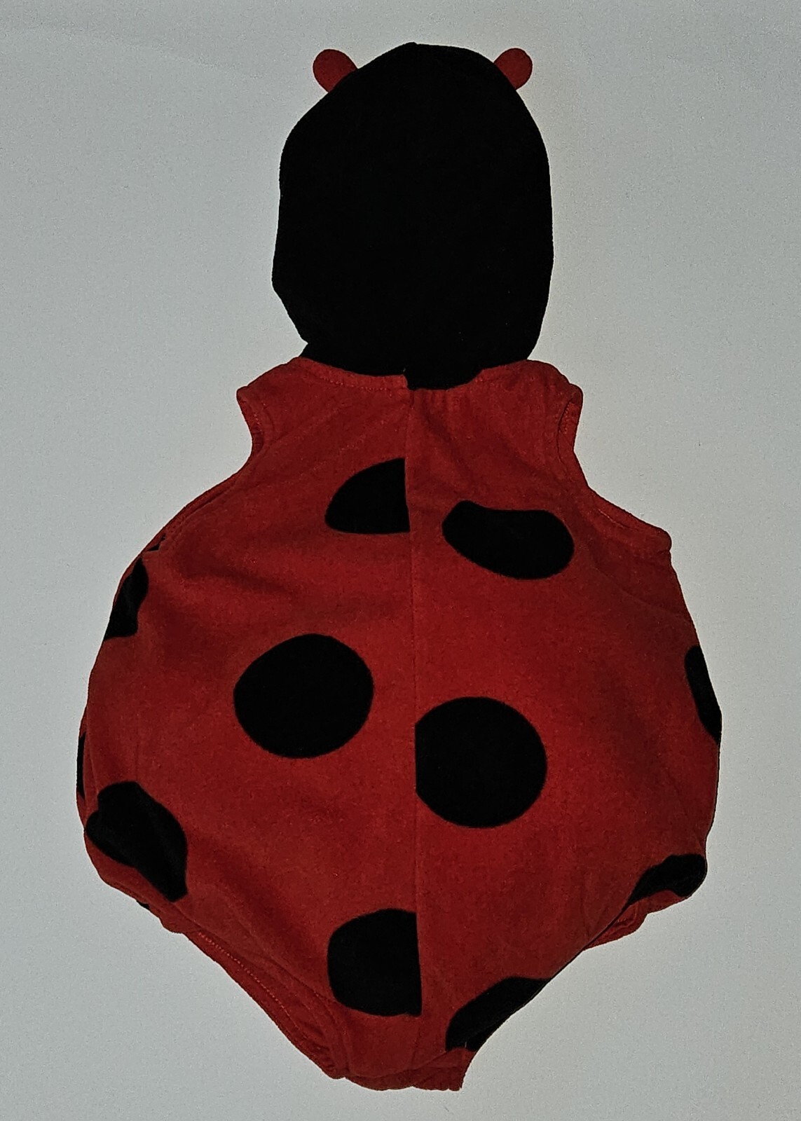 Picture 6 of 6