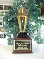 FANTASY FOOTBALL PERPETUAL TROPHY 16 YEARS FFL NEW DESIGN AWESOME SMALL PTRC24#