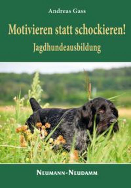 Thumbnail - Motivieren Statt Schockieren, Andreas Gass