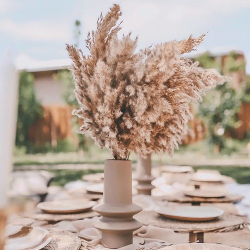 20-Pcs Fluffy Pampas Grass 70cm Tall Brown Dry Boho Room Decor Natural - Picture 3 of 5