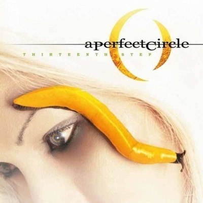 Vinyl Perfect Circle (A) - Thirteenth Step (2x10'')