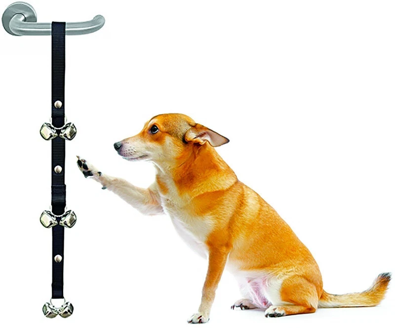 Pet doorbell 2024