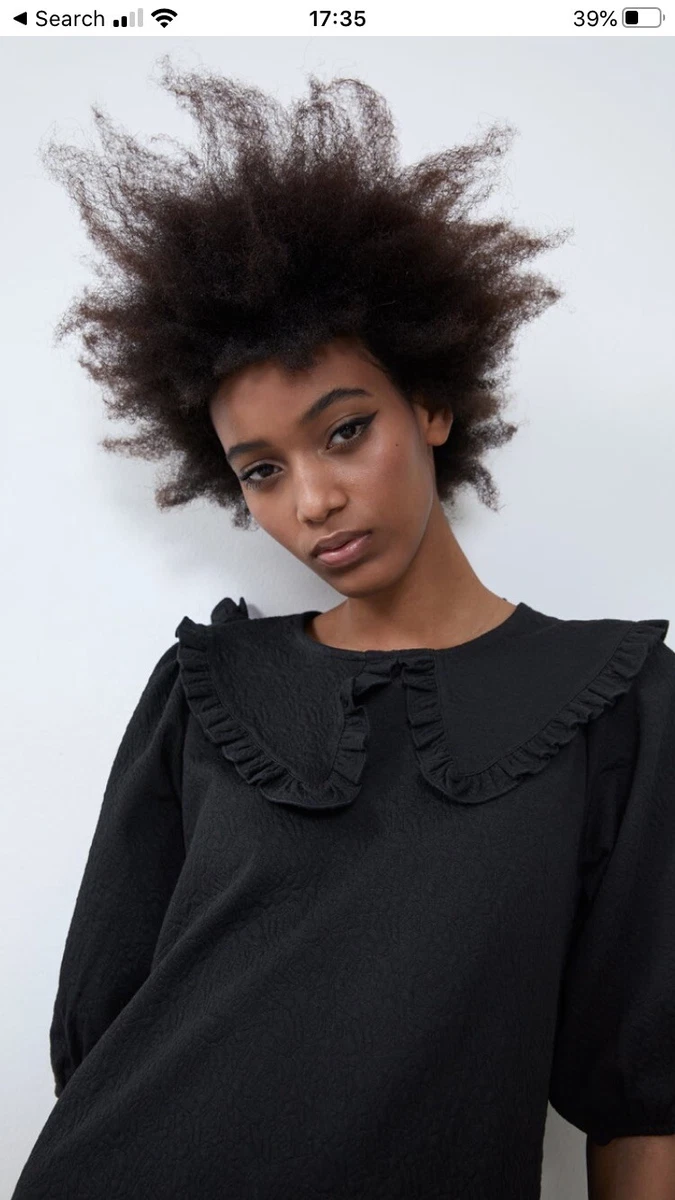 Zara peter pan collar clearance dress