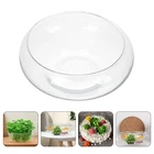 Small Fish Tank Hydroponic Container Goldfish Bowl Glass Planter