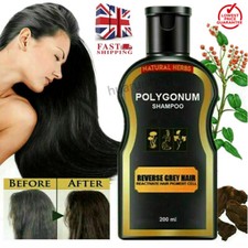 200ml Reverse Grey Hair Darkening - Natural Organic Polygonum Shampoo Colouring