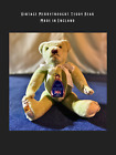 Merrythought Vintage Green Teddy Bear Made In England