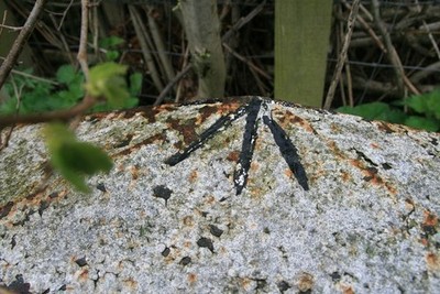 Photo 6x4 Benchmark on mileopst, A30, west of Sherborne Sherborne/ST6316 c2017