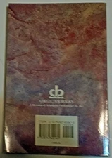 Field Guide to Flint Arrowhead - ACCEPTABLE