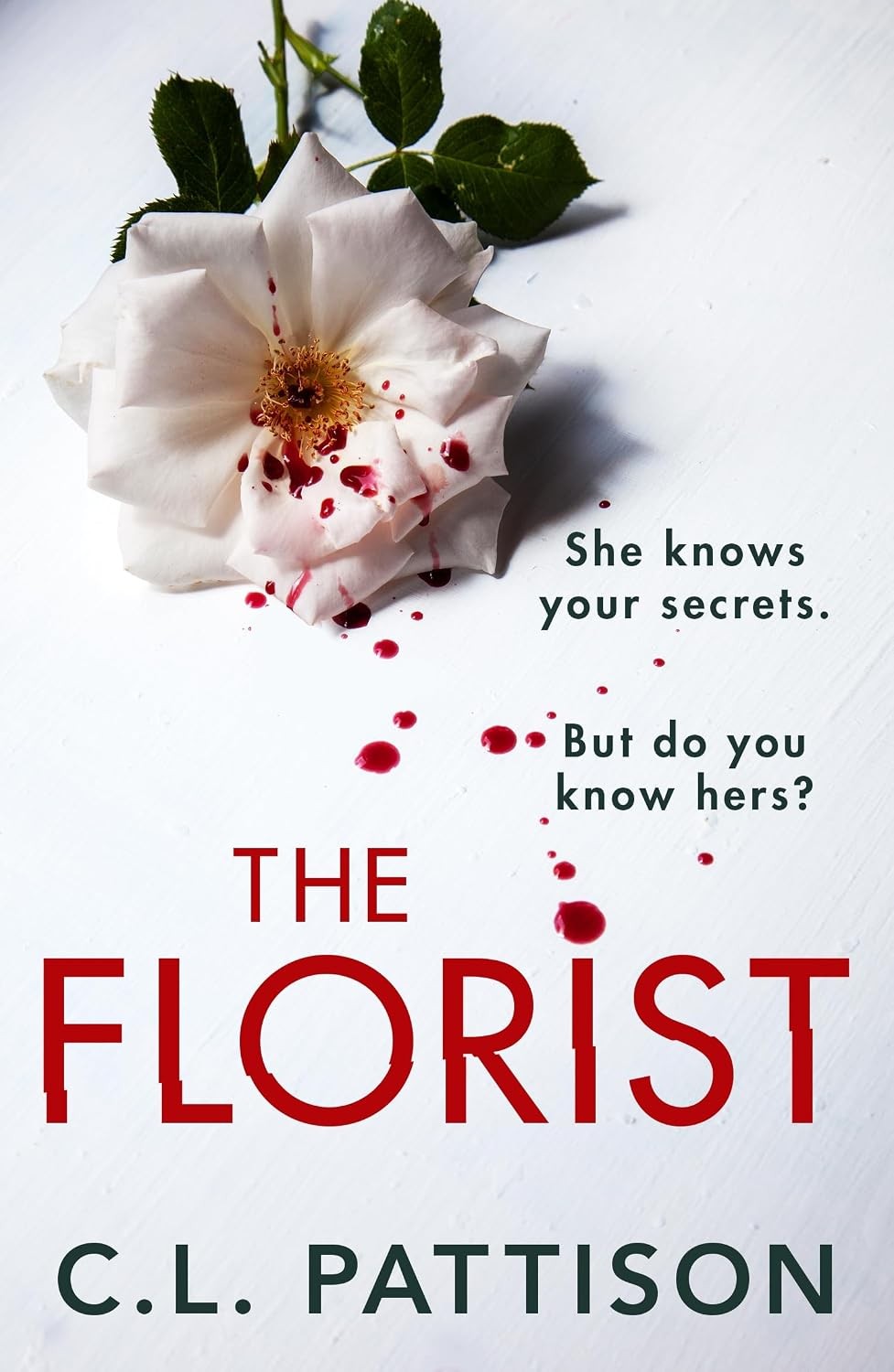 The Florist: An absolutely addictive psychological thriller with a jaw-dropping - Image 10