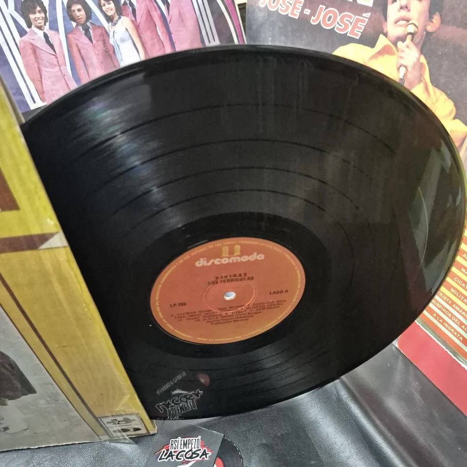 Los Terricolas – Vivirás - Latin, Rock, Psychedelic, Ballad, Venezuela, 1972 - Image 4 of 4