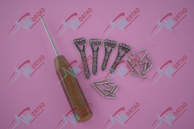 Locking Variable Angle Dïstal Radïus Volar plate 2-4 holes L &R & screw 63Pcs SS