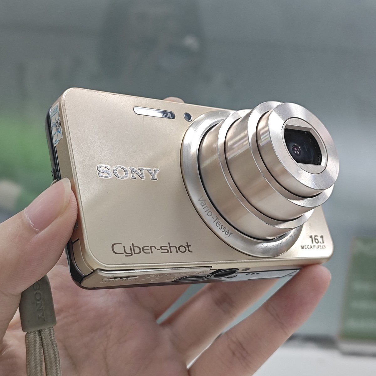 SONY Cyber-shot DSC-W570 16.1MP 5x Optical Zoom Digital Camera