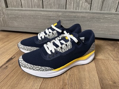 Jordan New Zoom Tenacity 88 Michigan Wolverines Sneakers PE 9