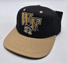 NCAA Eclipse WAKE FOREST DEMON DEACONS Vintage 1990's Big Logo Snapback Hat NWT