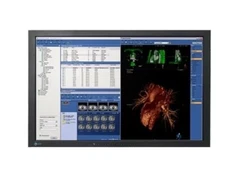 EIZO FlexScan MX240W 24" Medical Monitor