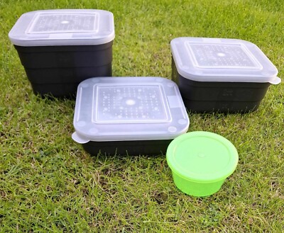 Set verschiedene quadratische Maden / Wurm / Köderboxen für Streichholz, grobe Karpfenangeln