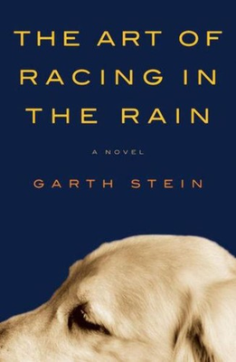 #ad The Art of Racing in the Rain Stein Garth hardcover Good $5.02