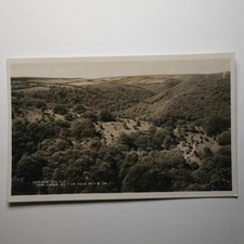 HORNER VALLEY Home of the red deer RP Postcard by H.H. Hole