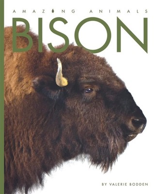 Amazing Animals: Bison by Bodden