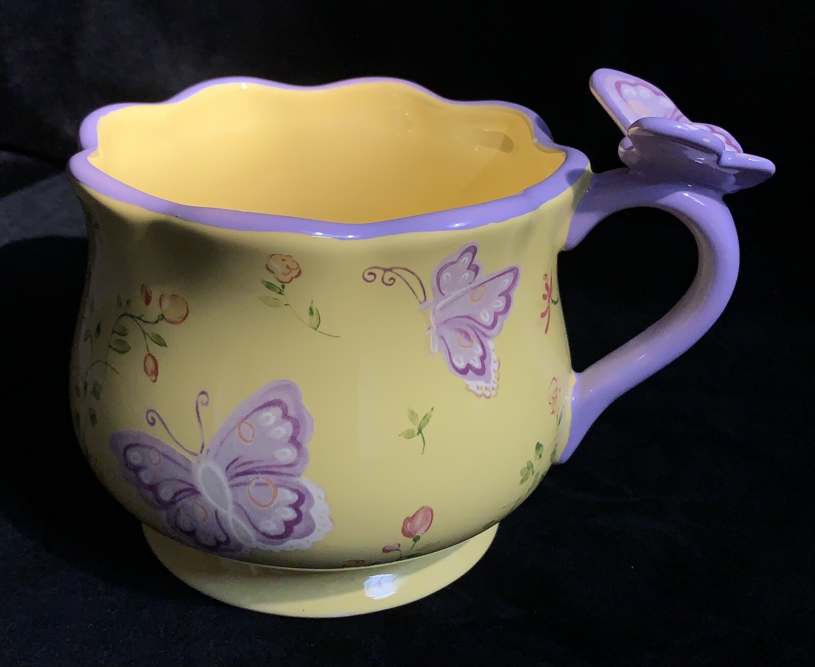 2018 Teleflora Ceramic Mug Planter Butterfly on Handle 24 Ounces