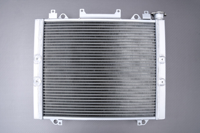 Radiateur Eau Racing Kawasaki TERYX4 750 pour Randonnée Off-Road et Usage Intensif 2012-2013