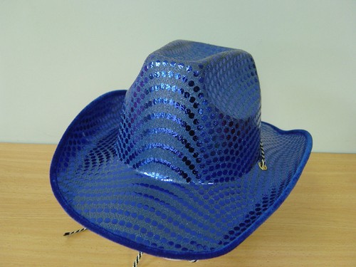 Fancy Dress Up Costume Accessories 