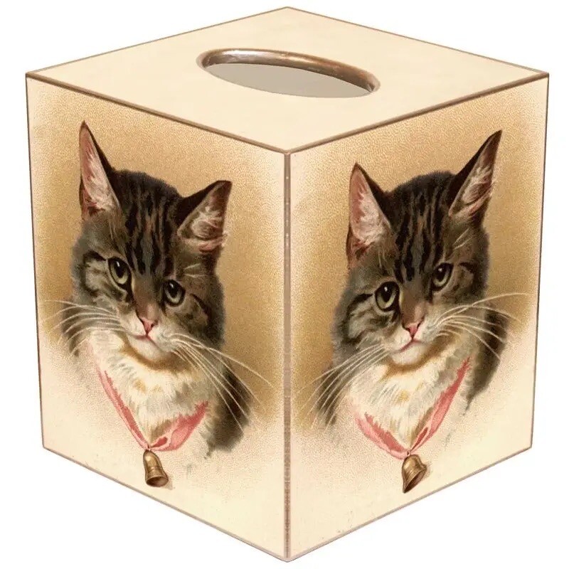 Tissues Of Cat NEW] WATSONS PUSHEEN THE CAT TRAVEL TISSUE | Shopee