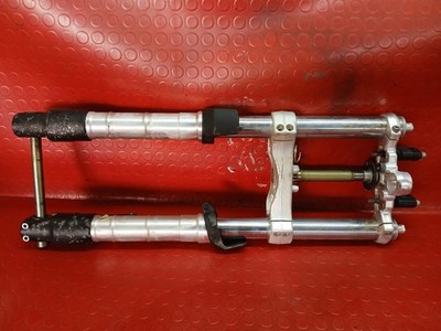 GABEL STIELPLATTEN ACHSE TRIUMPH SPEED TRIPLE 955 IE 2001 2004 SIEHE FOTOS