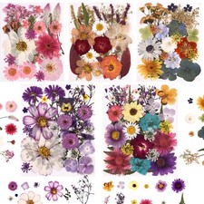 Cokosing 5 Packs of 140 Pressed Dried Flowers and Leaves Real 5 Colors