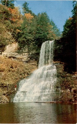 Cascade Falls, Little Stoney Creek, Mountain Lake, Virginia, Earl Postcard