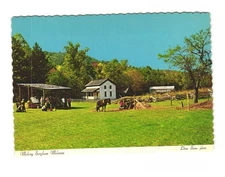 Making SORGHUM molasses vintage postcard unposted GSMNP