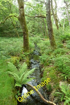 Foto 6x4 Stream Feed Llyn Mair Rhyd\/SH6341 c2014