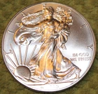 2015 American Silver Eagle - One Ounce of .999 Pure Silver