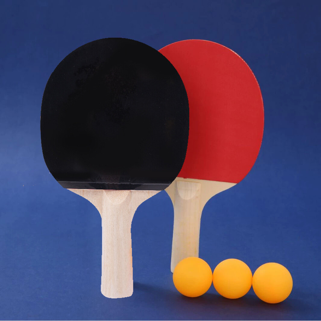 6 Étoiles Avancée Raquette de Ping Pong, Ping Pong Paddle Professionnel, Avec Étui de Transport