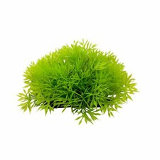 Cubierta de acuario planta, pecera acuario follaje decoración adorno en base