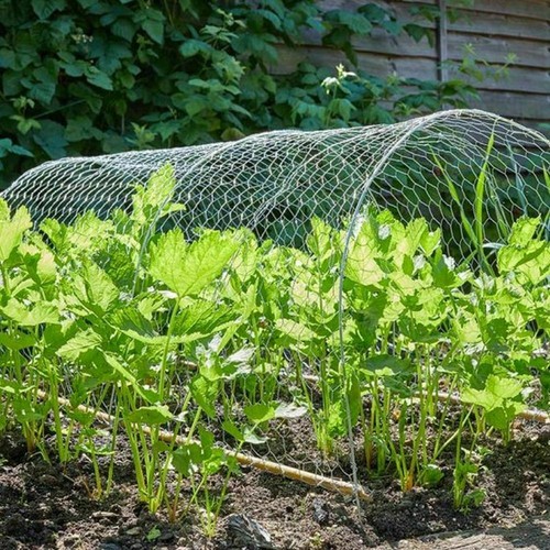Chicken Wire Mesh Fencing Galvanised Netting Rabbit Fence Pet Garden - Picture 7 of 8