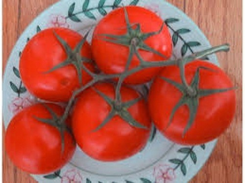TOMATO NOVOSADSKI JABUCAR - SERBIAN VARIETY (500 SEEDS) HEIRLOOM! - Picture 2 of 3