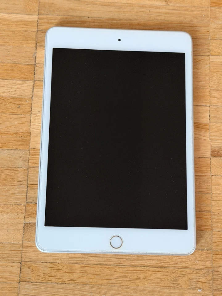 Apple iPad Mini (5. Generation) 256GB, WLAN + 4G silber