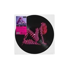 MADONNA New CONFESSIONS II Grindr Exxxclusive Picture Disc Vinyl Album non-Stop