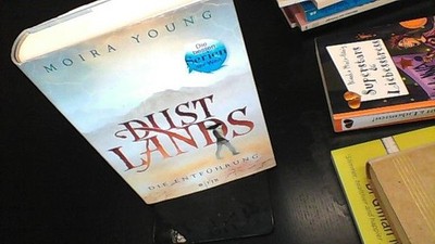 Dustlands - Die Entführung: Roman Young, Moira: