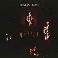 Demon Head - Through Holes Shine The Stars - Vinyl Record - G3Z