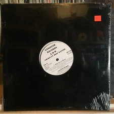 [RAP]~SEALED 12"~AMERICA'S MOST WANTED (A.M.W)~Wash Out Ya Beaver~AMW~~{1990~GAN